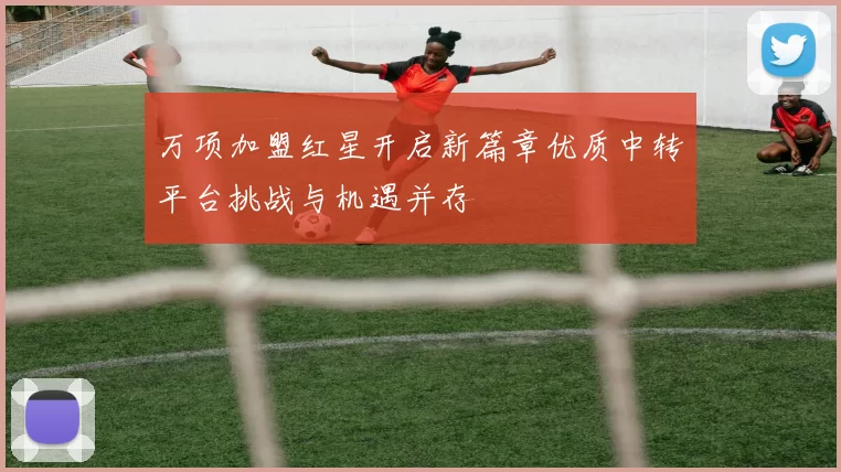 万项加盟红星开启新篇章优质中转平台挑战与机遇并存