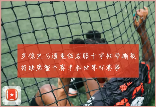 罗德里戈遭重伤右膝十字韧带撕裂将缺席整个赛季和世界杯赛事